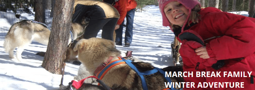 A smiling girl and some dogs in the snow