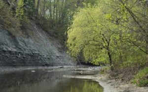 Etobicoke Valley Park