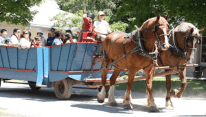 A horse-drawn cart at Black Creek Pioneer Village.