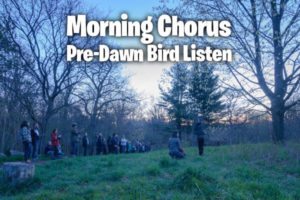 People listening to birds in the park at dawn.