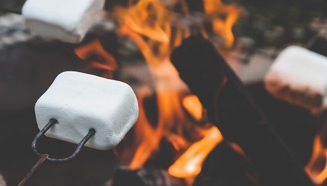 Marshmallows roasting over a campfire.