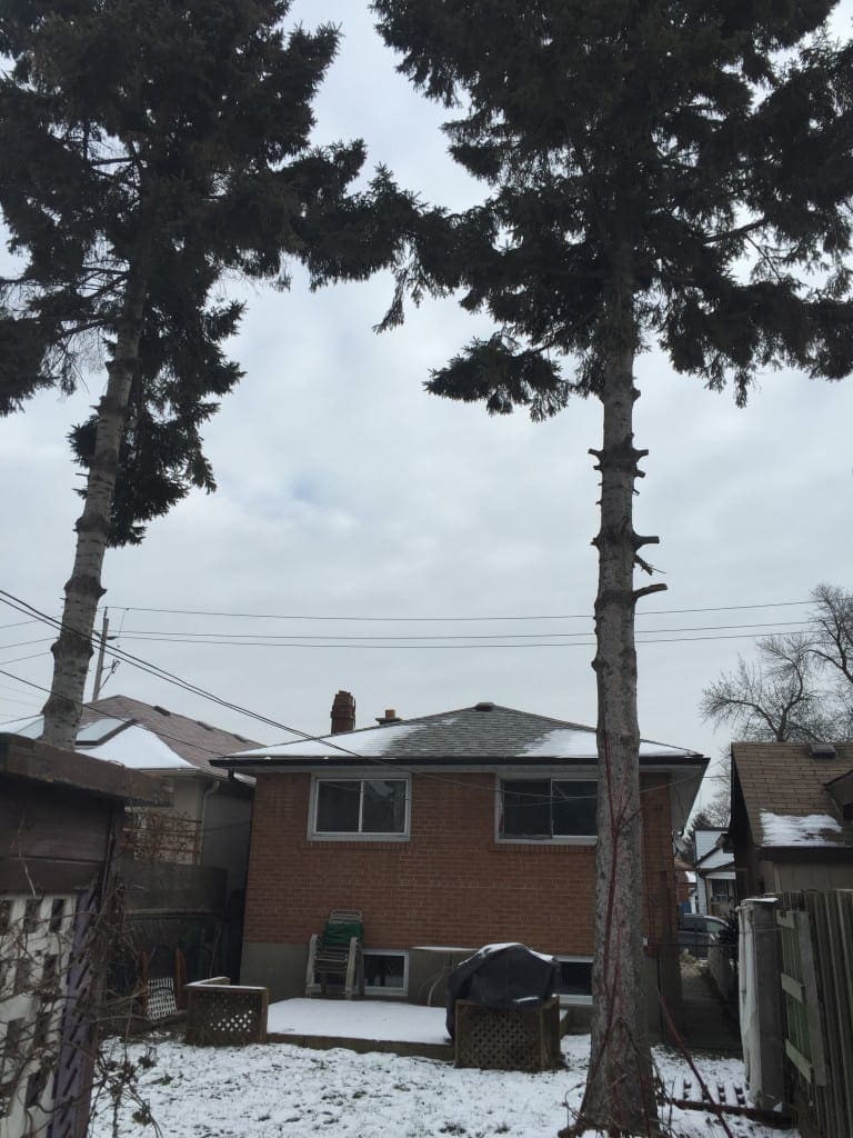 For Sale Income Property Long Branch
