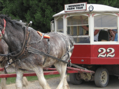 A horse-drawn carriage