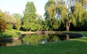 Trees and pond in Centennial Park.