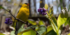 A bird sitting on a branch.