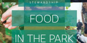 The Food in the Park poster.
