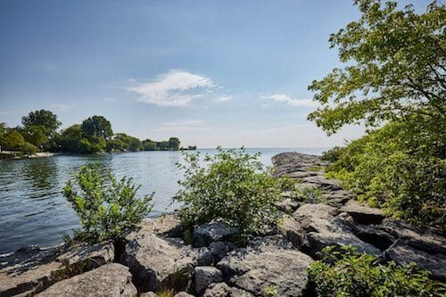 mimico waterfront