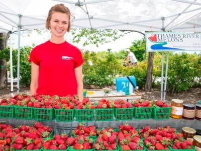 Fall farmers market.