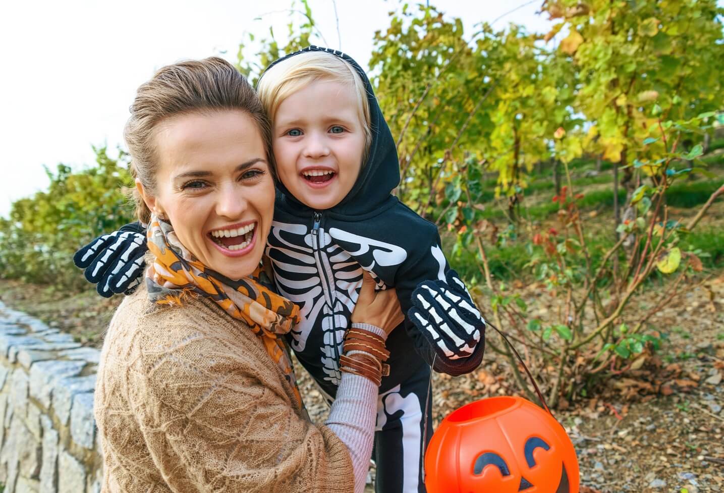 10 Fun Things to Do in Etobicoke in October, 2018 ThompsonSells