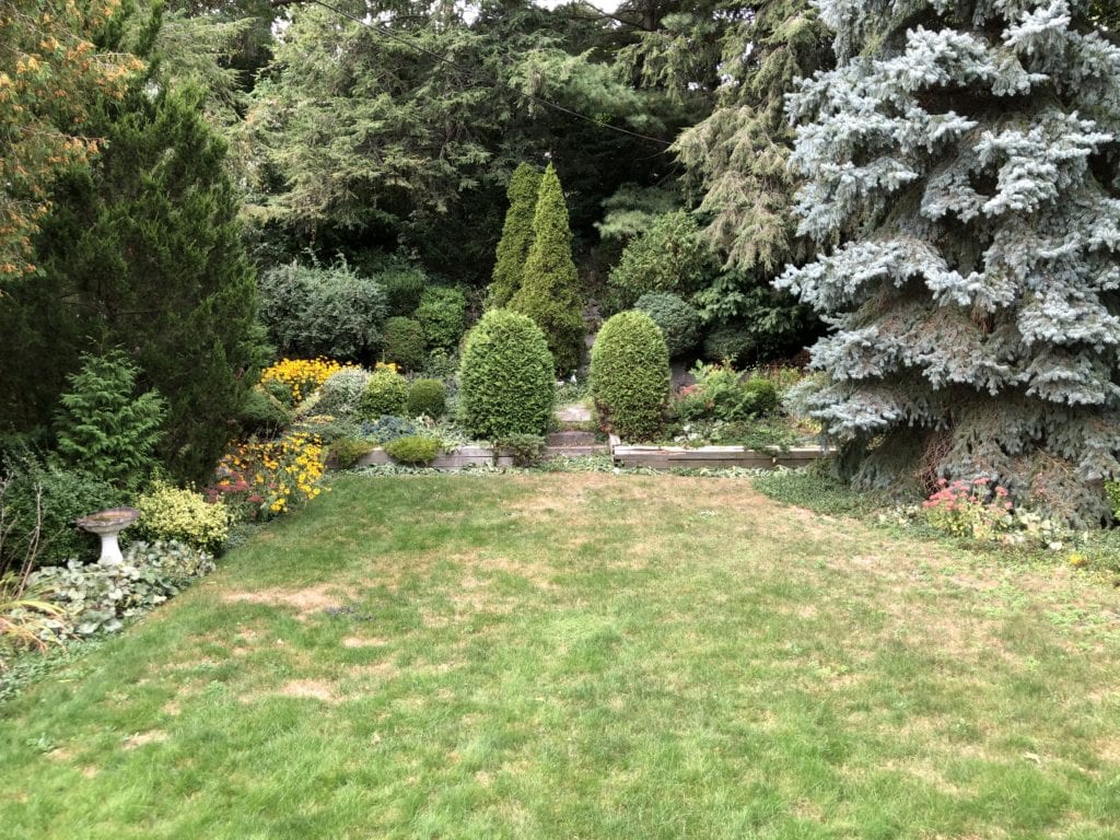131 Thompson Ave - Backyard