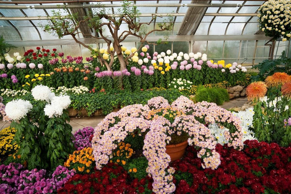 Centennial Park Conservatory Etobicoke