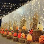 South Etobicoke Fall Halloween Events