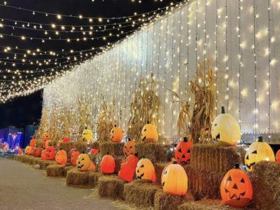 South Etobicoke Fall Halloween Events