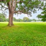 Princess Anne Manor Home For Sale
