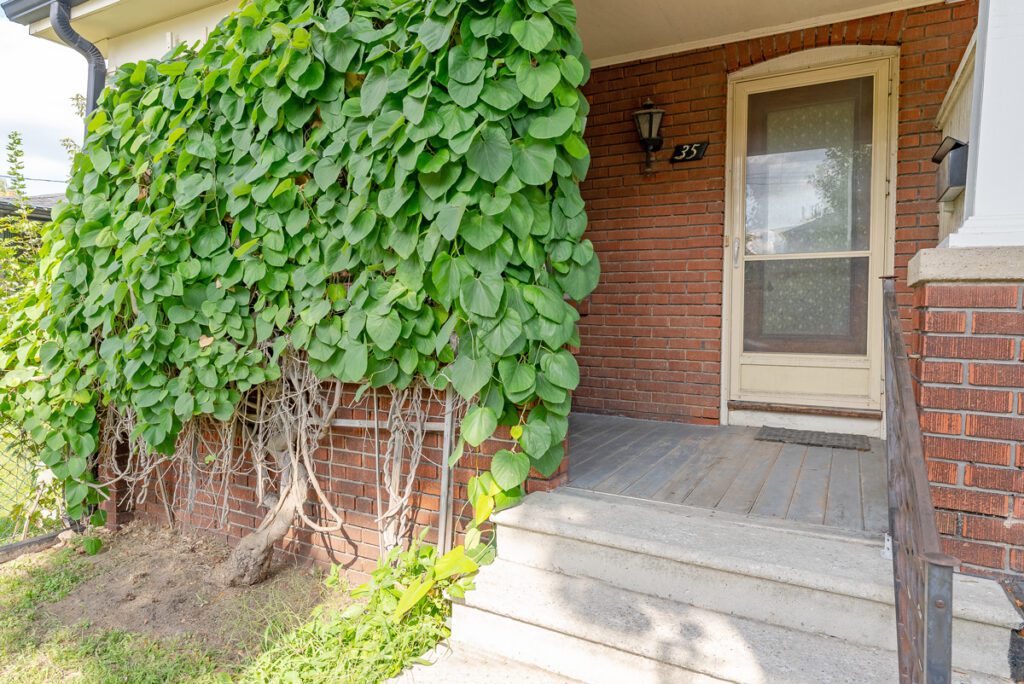 Queensway Village Home for Sale