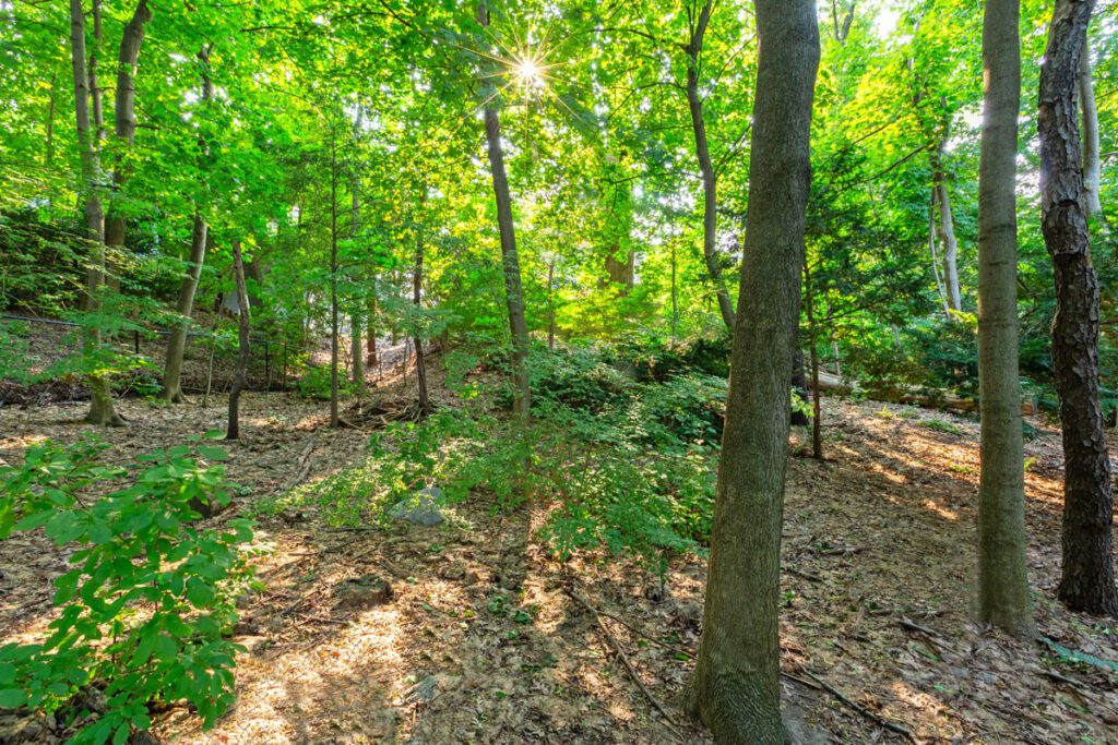 Humber Valley Home for Sale