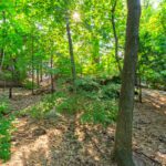 Humber Valley Home for Sale
