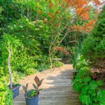 Humber Valley Home for Sale