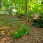 Humber Valley Home for Sale