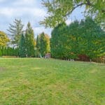 Princess Rosethorn Home for Sale