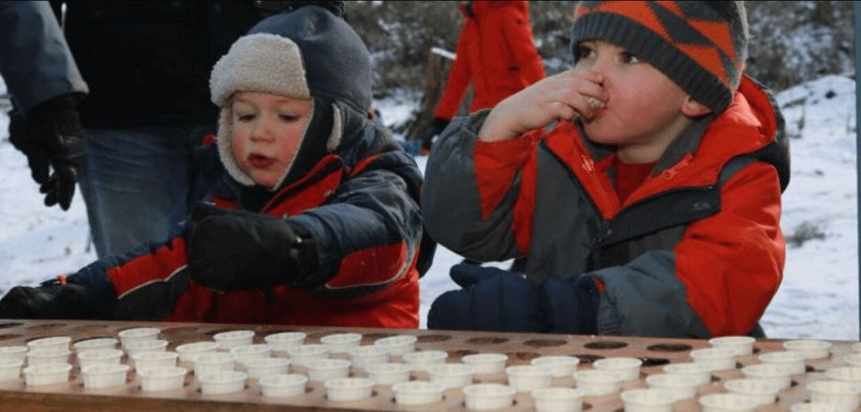 Maple Syrup Festival.