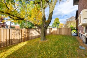 28 Martin Grove Road with large fenced side yard